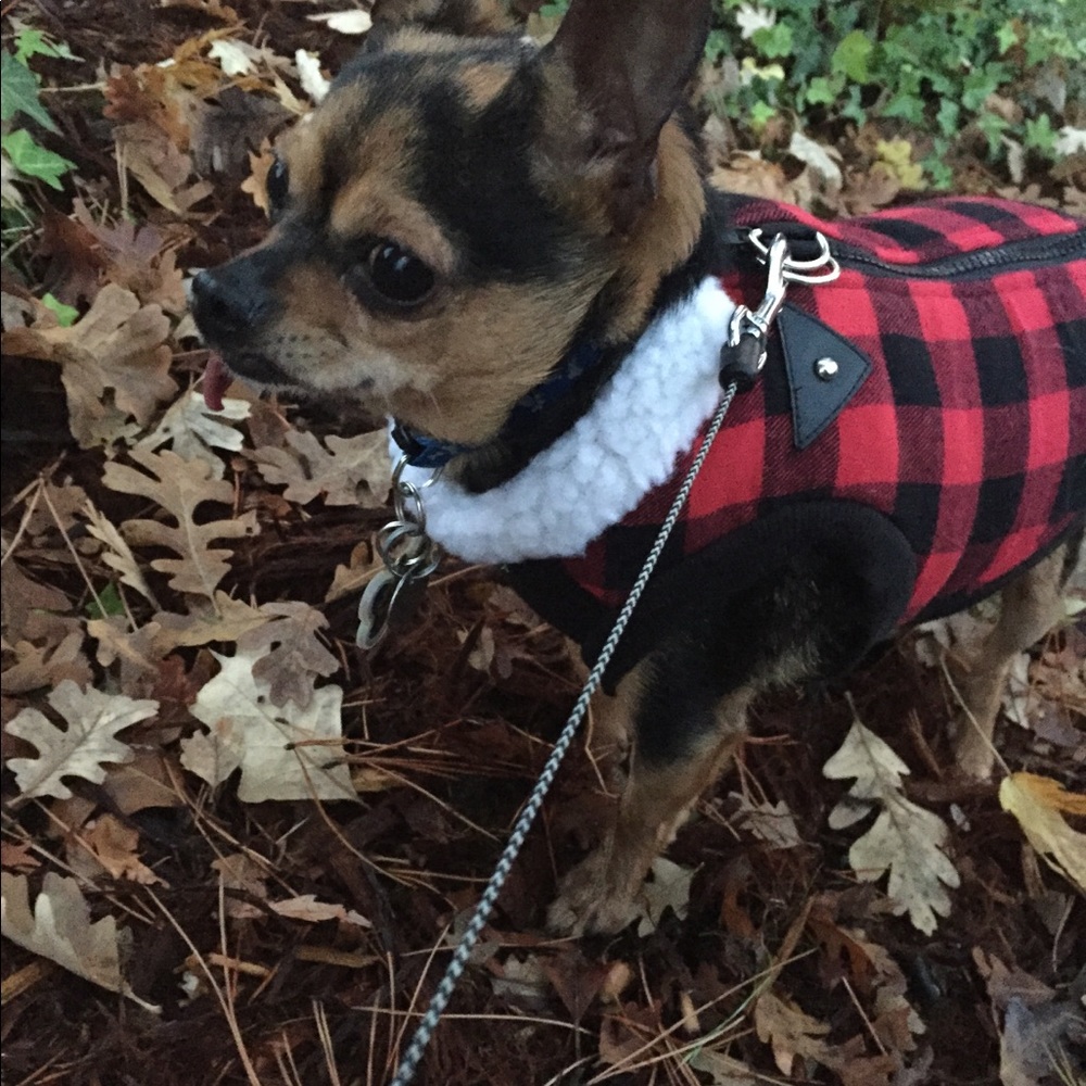 Meet your Posher, Ava